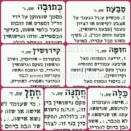 16684115_10155778276818502_1350332991121793637_n ערכת חתונה